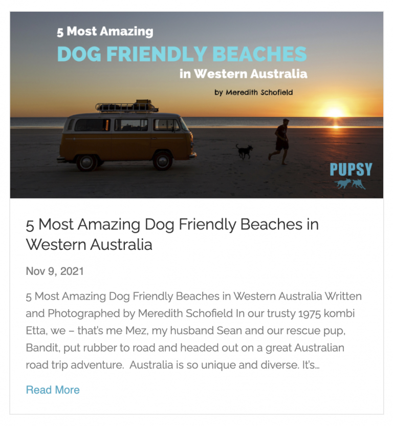 PUPSY - 5 Most Amazing Dog Friendly Beaches in Western Australia
