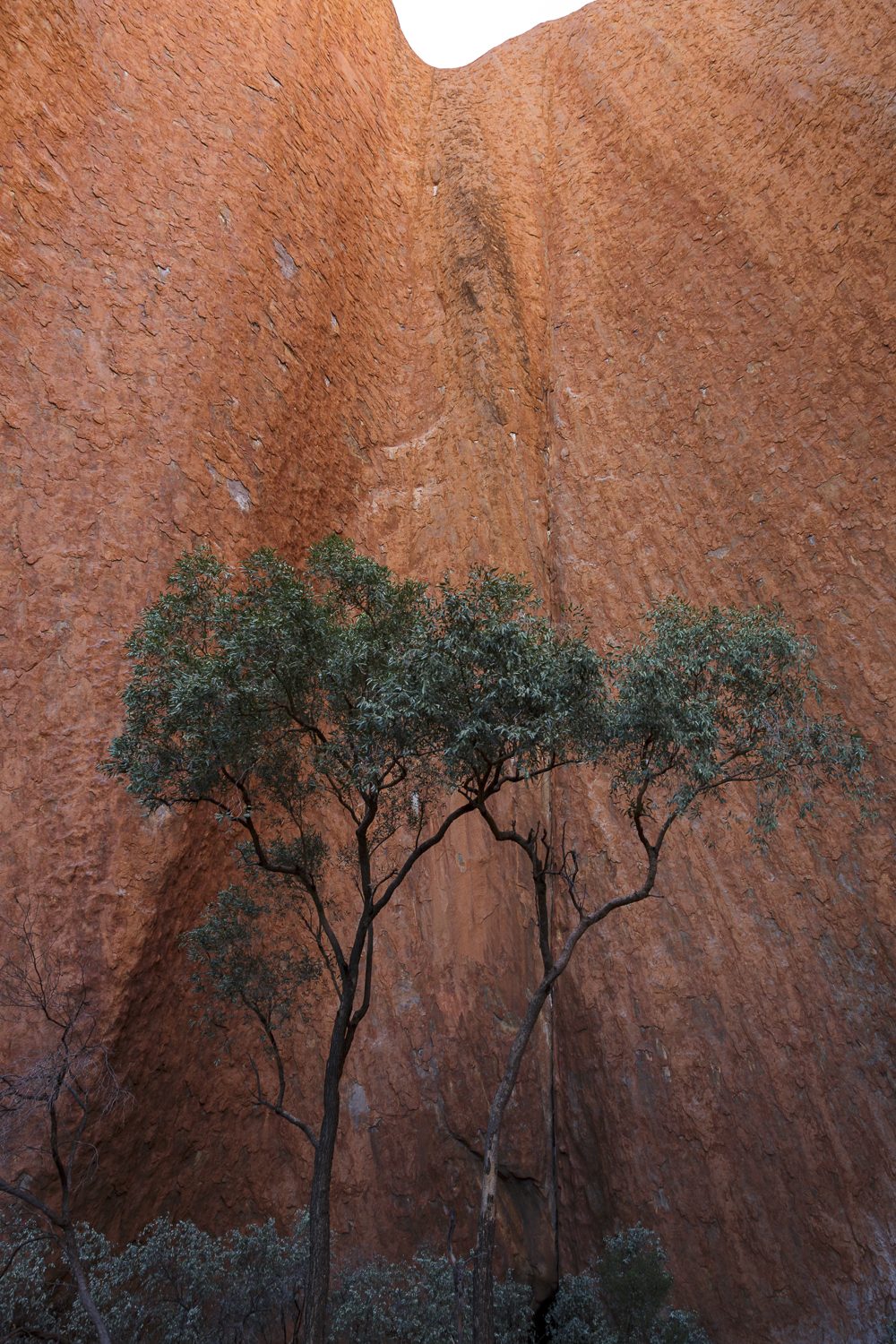 The Red Centre, NT